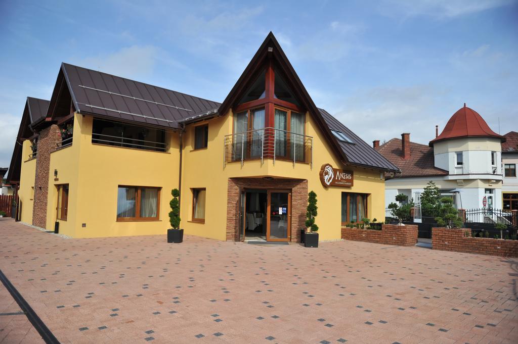 Penzion Anesis - Studia Turčianske Teplice Exterior foto